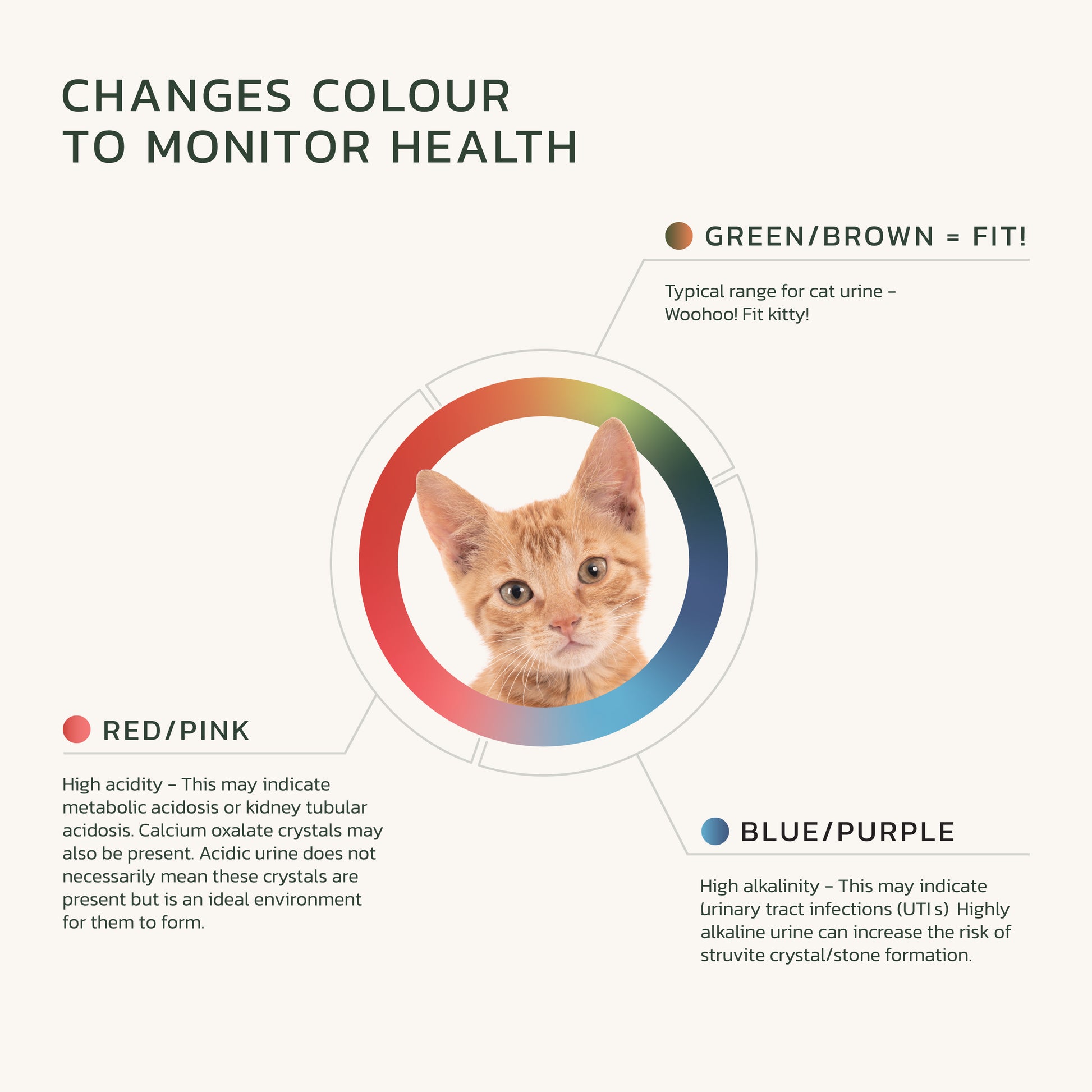 Fit Litter ECO: Fast Delivery Bag